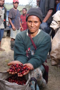 Coffee Picker At Colbran Estate In Papua New Guinea
