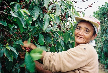 Manifestação ‘Acorda Cafeicultura’ dos Produtores de Café no Brasil