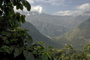 El Injerto Coffee Farm in Huehuetenango Mountains in Guatemala