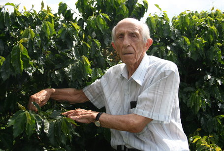 Brazil’s Cooparaiso Sees No Higher Coffee Crop In 2014-15 Harvest Cycle