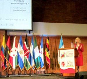 Maja Wallengren Speaking In Guatemala