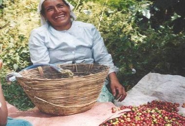 Blog de Café en Español: Nueva Política Para el Sector Cafetalero de México