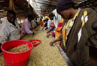 Rwanda’s Maraba Coop And Reconciliation Through Coffee
