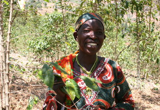 Rwanda Coffee Industry And The Genocide Widow Survivors
