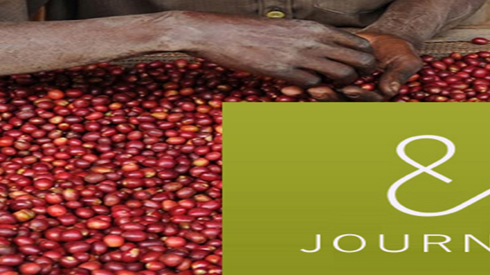 Rwanda’s Quality Coffees Lure Foreign Coffee Roasters
