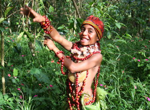 EXCLUSIVE: Papua New Guinea Quality Coffees Pick Up In New Harvest