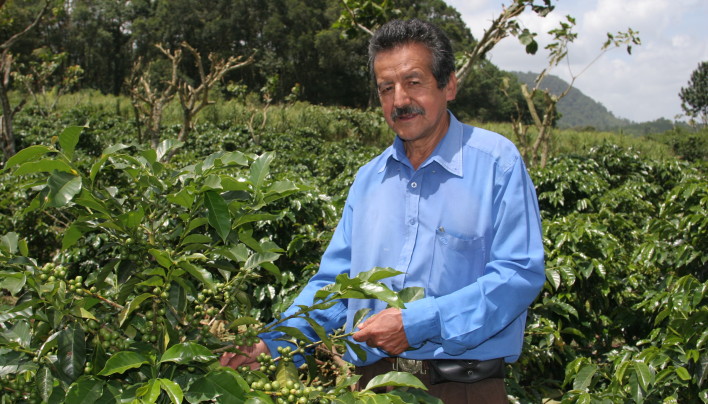 HARVEST ANALYSIS: Guatemala’s 2013-14 Coffee Crop To Drop As Low As 2.7M Bags, Smallest In 30 Years