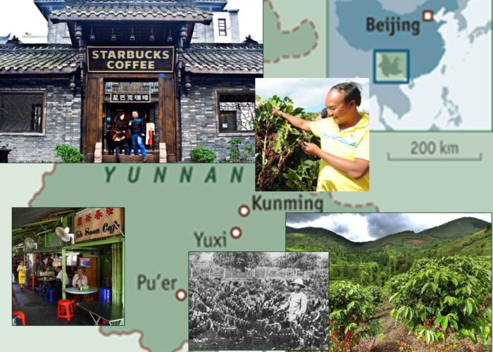 Fascinating History, China Started Producing Coffee Around 1887 Fascinating History, China Started Producing Coffee Around 1887
