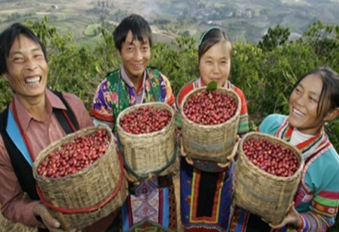 ORIGIN FOCUS: CHINA — The World’s Coffee Giant Is Waking Up!