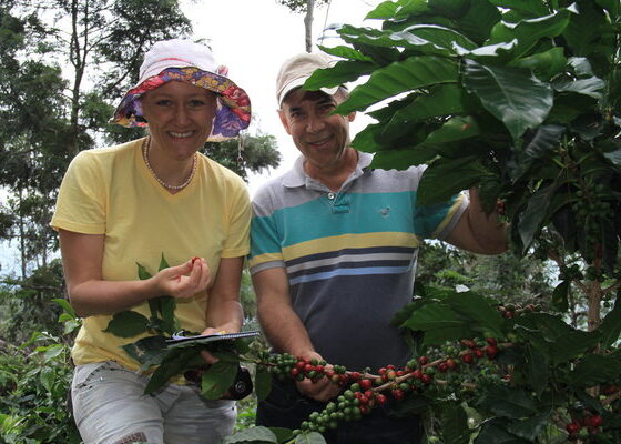 ORIGIN FOCUS: 5– Dominican Republic’s Long Tradition For Quality Coffee on Hispaniola ORIGIN FOCUS: 5– Dominican Republic’s Long Tradition For Quality Coffee on Hispaniola