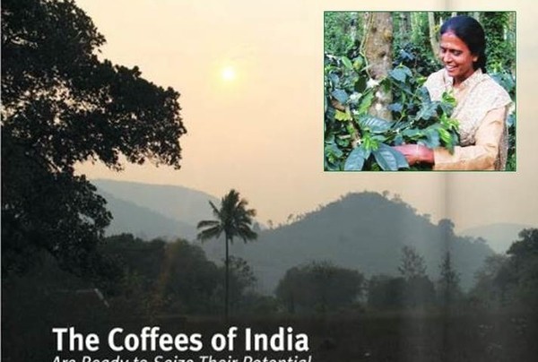 SPECIAL REPORT: The Coffees of India Getting Ready To Seize Its Potential