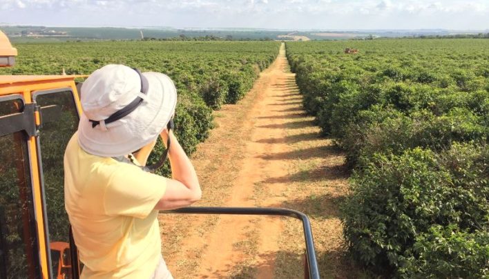 MARKET ANALYSIS: SpillingTheBeans is Back in Brazil — And The 2015-16 Brazil Coffee Crop IS In Trouble at 44M-45M Bags