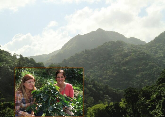 ORIGIN FOCUS: 9 –Puerto Rico’s Lively Coffee History From Slave Revolts To Preserving Great Beans ORIGIN FOCUS: 9 –Puerto Rico’s Lively Coffee History From Slave Revolts To Preserving Great Beans