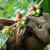 LUWAK DEBATE: Standing up for Luwak growers
