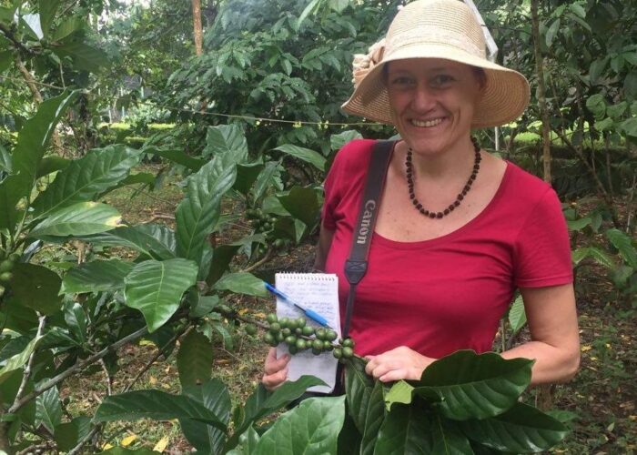 ORIGIN FOCUS: THE PHILIPPINES – In Search Of The Liberica Coffee Bean ORIGIN FOCUS: THE PHILIPPINES – In Search Of The Liberica Coffee Bean