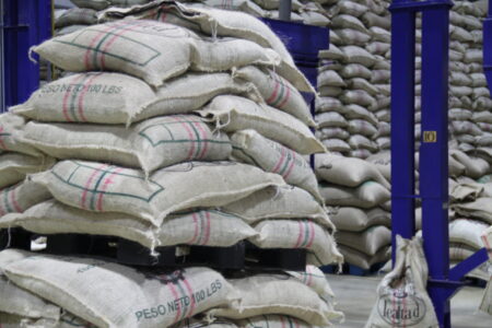 EXCLUSIVE: World Coffee Stocks Fall by 3.628 Mln Bags in Key Import Markets