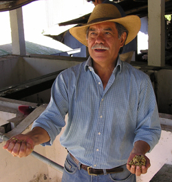 Guatemala’s El Injerto Take 1st Price with $45.10/Lb in Cup of Excellence