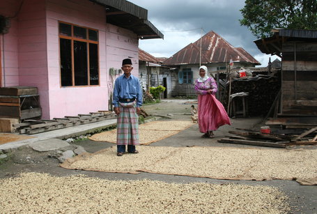 DIRECTLY from Indonesia, SPECIAL REPORT: Indonesian Coffee Growers Continue to Struggle With Climate Effect