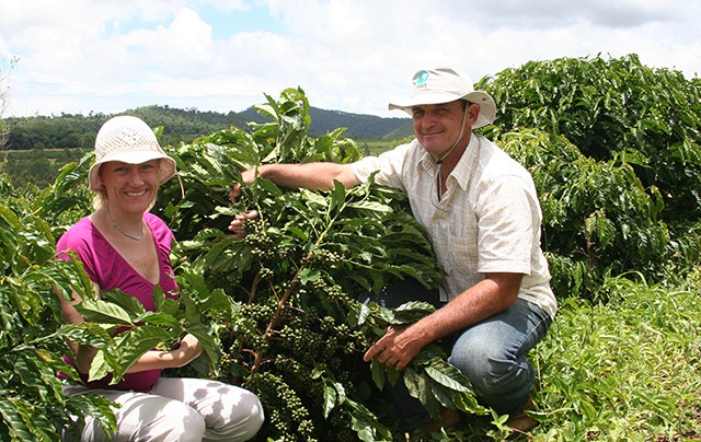Safras & Mercado: Previsão de Colheita de Café 2013-14 a 52,9M Sacas