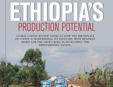 ORIGIN INSIGHT: Ethiopia Coffee Renovation Starting to Yield Results