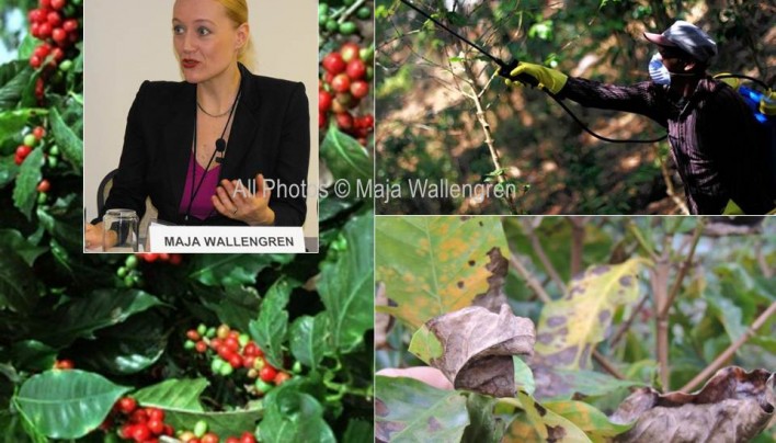 SpillingTheBeans Discusss Social Implications of Coffee Rust Disaster at Inter-American Dialogue