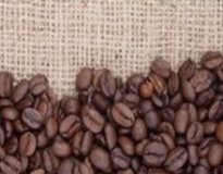 MARKET INSIGHT: Arabica Coffee Prices Recover To Close Up 2.65 Cents At $1.1825/Lb Aug 2
