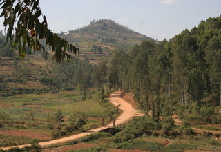 ORIGIN FOCUS: RWANDA