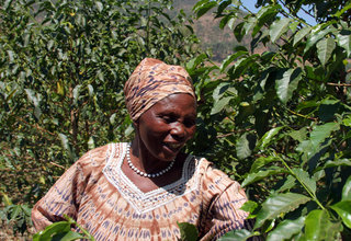 The Rwanda Genocide – A Coffee Conflict!