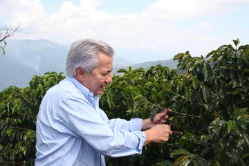 The Onset Of Colombia’s Coffee Crisis Started In 2008