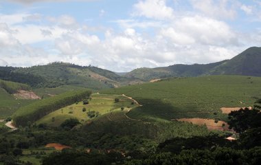 Blog do Café: Preços baixos NãO cobrem custos da produção no Brasil