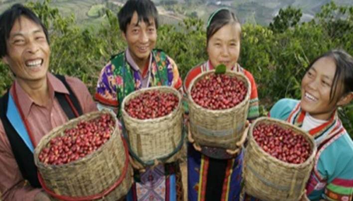 ORIGIN FOCUS: CHINA  — The World’s Coffee Giant Is Waking Up!