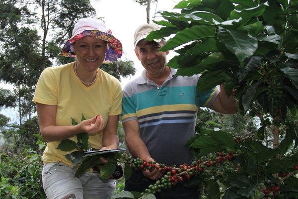 Coffee of The Day: Outstanding Single Variety Typica Bean From Dominican Republic’s Don Alfredo Estate Coffee