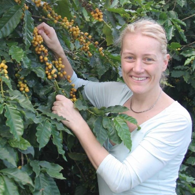 DIRECTLY From Australia Coffee of The Day, Skybury Estate From Queensland Spilling the Beans