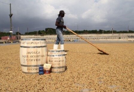 ORIGIN FOCUS: 2 –Jamaica And Her Amazing “Blue Mountain” Coffee