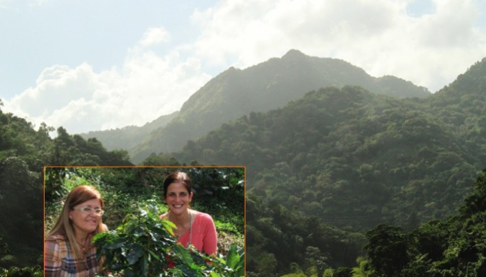 ORIGIN FOCUS: 9 –Puerto Rico’s Lively Coffee History From Slave Revolts To Preserving Great Beans
