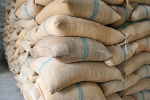 STOCK WATCH: ICE Certified Arabica Coffee Stocks Stay At 5-Year-Lows, Fall To 1.29M Bags Jan 25