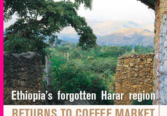 SPECIAL REPORT: Ethiopia’s Forgotten Harar Region Returns To Specialty Coffee Market