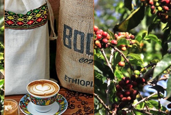 Coffee of The Day: Boon’s “Fruity & Wild” Stunning Ethiopia Blend of Harar, Sidamo and Kaffa Beans