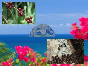 ORIGIN FOCUS: 6–Dominica One Of The World’s Tiniest Coffee Islands