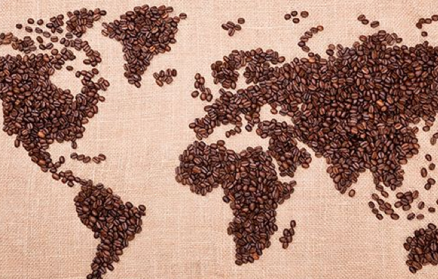 FASCINATING FACT: How Many Coffee Species Are Consumed Around The World?