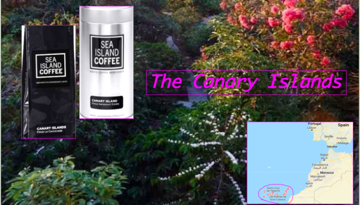 Coffee of The Day: Sea-Island’s Beautiful Exotic Beans From The Canary Islands